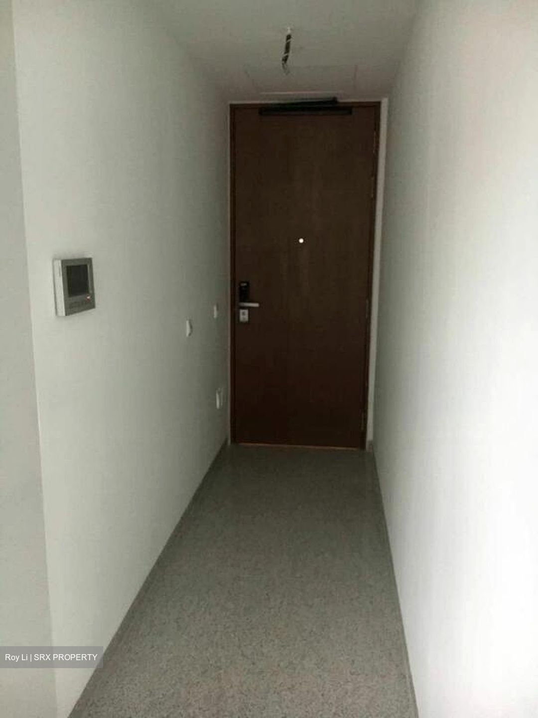 PS100 (D2), Condominium #527808161